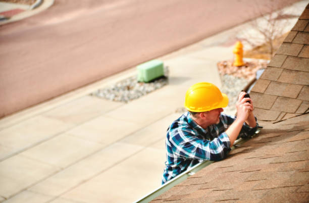 Roof Moss and Algae Removal in Conway Springs, KS